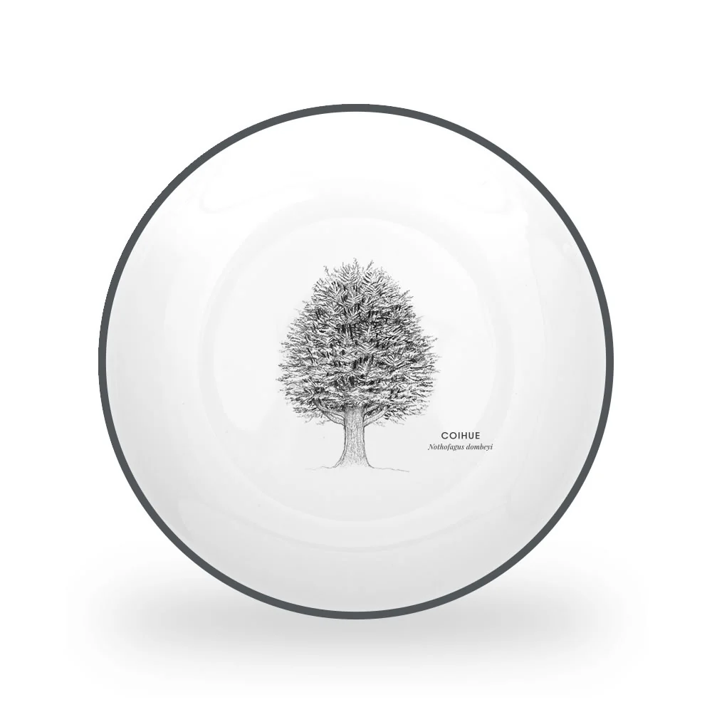 Imagen del producto 14