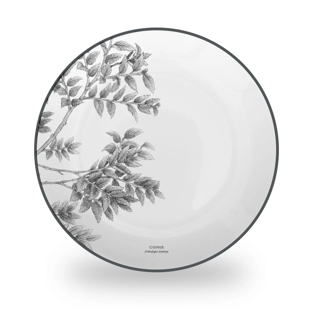 Imagen del producto 15