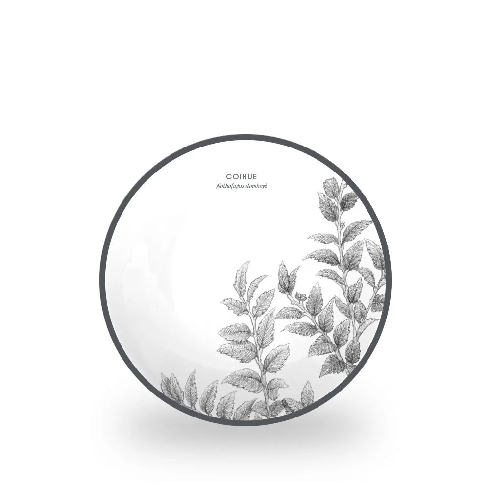 Imagen del producto 16