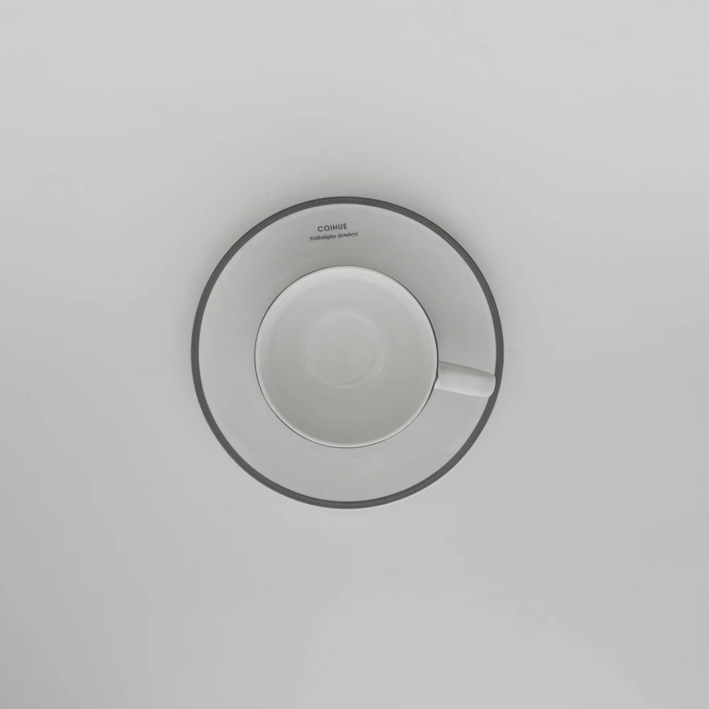 Imagen del producto 8